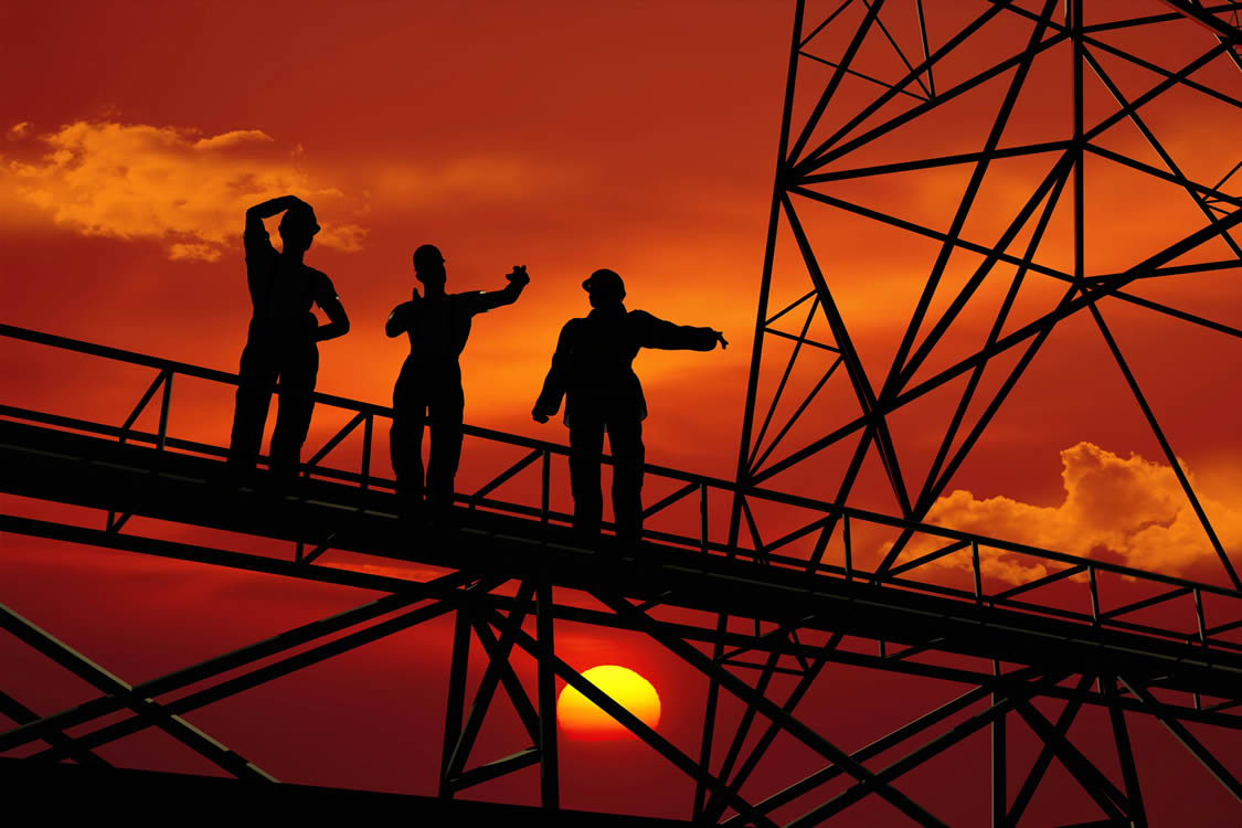 Altum Inspection Services